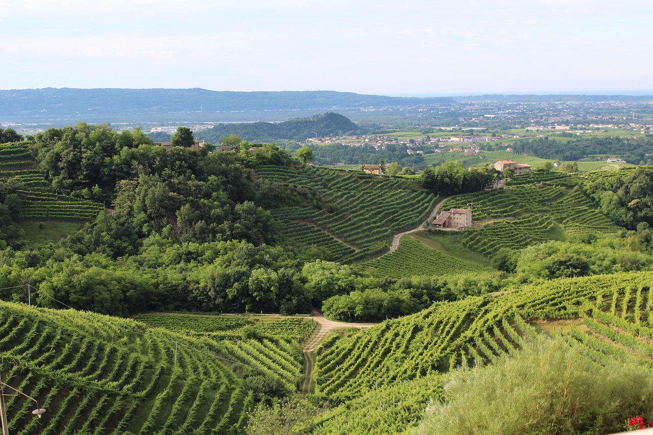 Treviso_colline